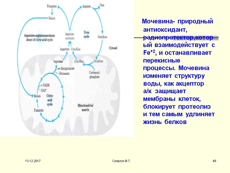 Мочевина- природный антиоксидант, радиопротектор,который взаимодействует с Fe+2, и останавливает перекисные процессы. Мочевина изменяет структуру